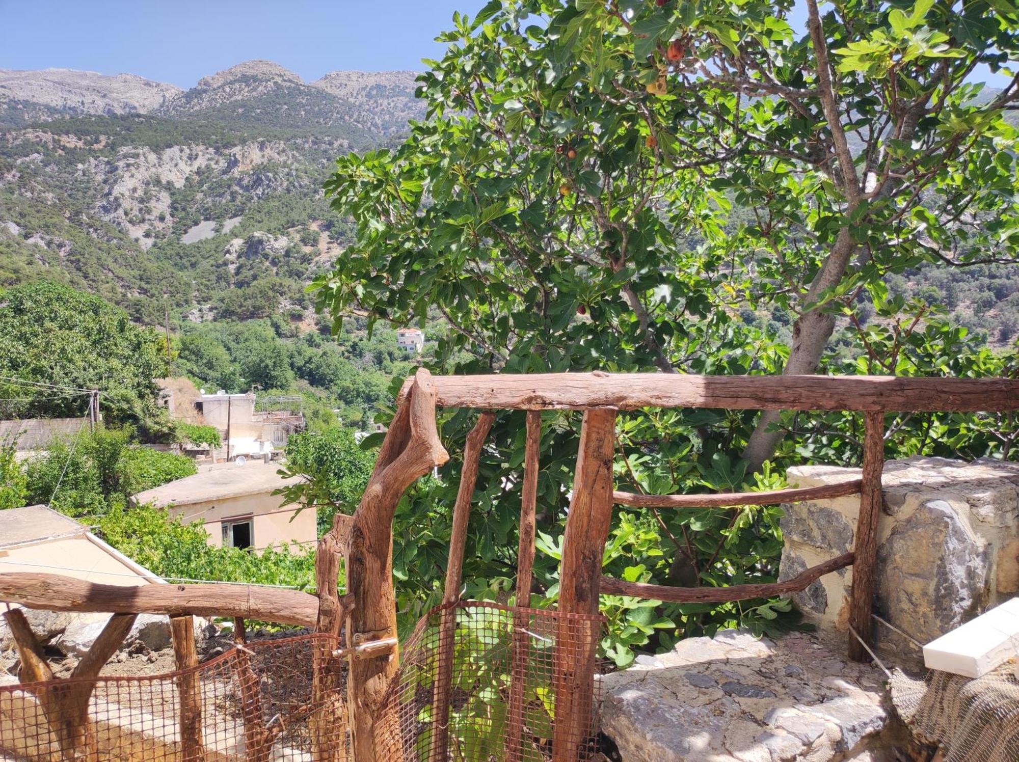 Kato Symi House Villa Kato Simi Exterior foto